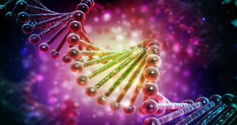 Rappresentazione di frammento di DNA