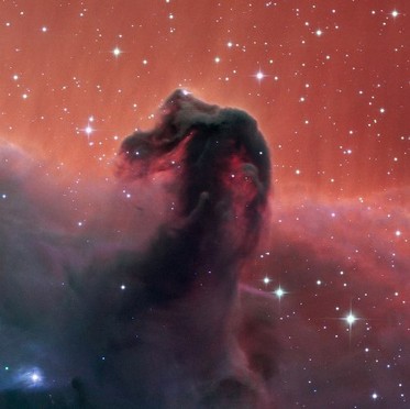 nebulosa "Testa di cavallo" in Orione